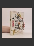 Žák Voříšek má radary - náhled