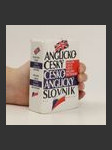 Anglicko-český česko-anglický slovník - náhled