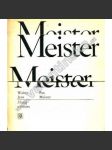  Pan Meister - Dialog o románu - náhled
