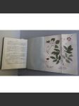 O přirozenosti rostlin aneb Rostlinář - 2. díl (1. část) 1825 (herbář, rostliny, květiny) - náhled