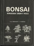 Bonsai - Miniaturní strom v misce - náhled