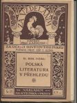 Polská literatura v přehledu - náhled
