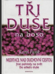 Tři duše na boso - náhled