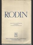 Rodin - náhled