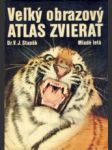 Veľký obrazový atlas zvierat - náhled