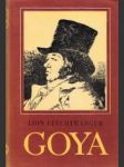 Goya čiže krutá cesta poznania I.-II.zv. - náhled