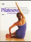 Pilatesove cvičenia - náhled