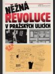 Něžná revoluce v Pražských ulicích - náhled