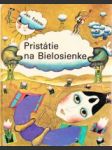 Pristátie na Bielosienke - náhled