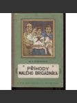 Příhody malého brigádníka (dětská kniha, Bulharsko) - náhled