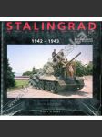 Stalingrad 1942-1943. Tehdy a dnes ... - náhled