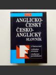 Anglicko-český, česko-anglický slovník FIN - náhled