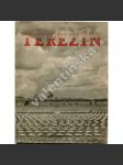 Terezín . koncentrační tábor - holocaust, Židé, válka - náhled