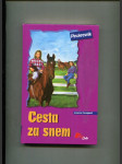 Cesta za snem - náhled