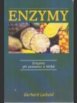 Enzymy při prevenci a léčbě - náhled