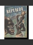 Bipindi. Černošský román (dobrodružství, Afrika) - náhled