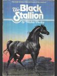 The Black Stallion - náhled
