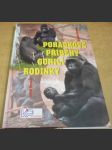 Pohádkové příběhy gorilí rodinky - náhled