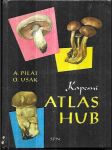 Kapesní atlas hub - Pomocná kniha pro ZDŠ, stř. všeobec. vzdělávací a pedagog. školy - náhled