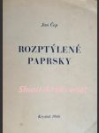 Rozptýlené paprsky - essaye,proslovy a meditace - čep jan - náhled