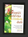 Slepičí polévka pro českou duši - náhled