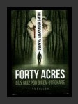 Forty Acres - Bílý muž pod bičem otrokáře - náhled