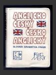 Anglicko-český,česko-anglický slovník - náhled