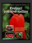 Kvetoucí pokojové rostliny - náhled