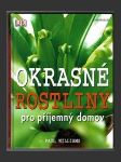 Okrasné rostliny pro příjemný domov - náhled