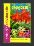 Orchideje - náhled