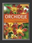 Orchideje - náhled