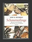 Schmetterlinge: Warum sie verschwinden und was das für uns bedeutet - náhled