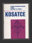 Kosatce - náhled