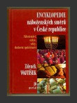 Encyklopedie náboženských směrů v České republice - náhled