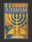 A Brief Guide to Judaism: Theology, History and Practice - náhled