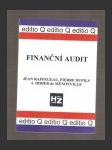 Finanční audit - náhled