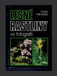 Lesné rastliny vo fotografii - náhled