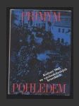 Přímým pohledem - Květen 1945 ve východočeských kronikách - náhled