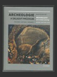 Archeologie a dálkový průzkum - náhled