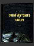 Dolní Věstonice - Pavlov - náhled