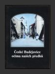 České Budějovice očima našich předků - náhled