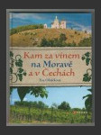 Kam za vínem na Moravě a v Čechách - náhled