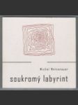 Soukromý labyrint - náhled