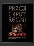 Praga Caput Regni - náhled