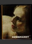 Rembrandt - náhled