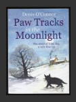 Paw Tracks in the Moonlight - náhled