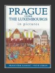 Prague under the Luxembourgs in pictures - náhled