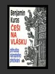 Češi na vlásku - náhled