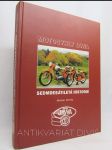 Motocykly Jawa: Sedmdesátiletá historie - náhled