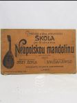 Praktická a lehce srozumitelná škola pro 8 strunnou Neapolskou mandolinu pro samouky - náhled